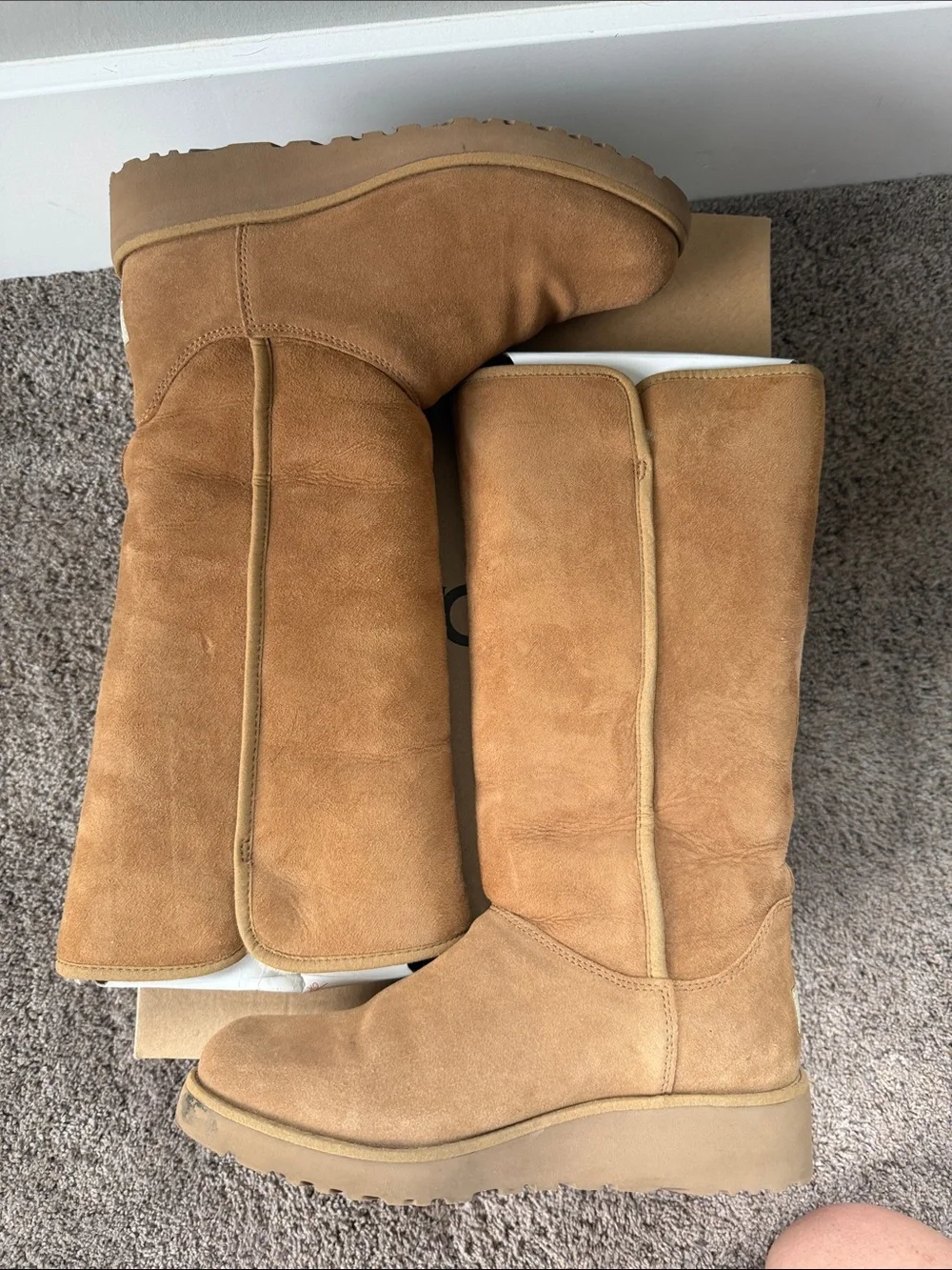 UGG Women's Tall Chestnut Suede Boots